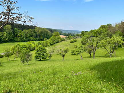 22-05-08 11-25-04 0769